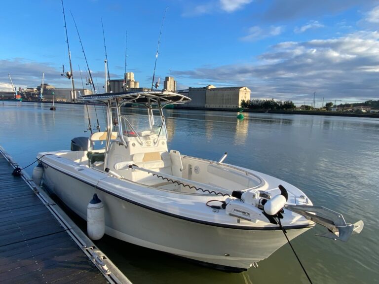 att.0XDVuSql3tGX3MtT606z4mPF5WEyUu2BdeETvwfRYGo 768x576