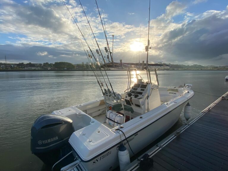 att.3cFHSaKDtig0u rAE8G1JbILdZjy0dCwA7nrk9tEIbA 768x576